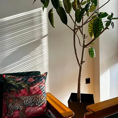 Golden 7 - Center Lägenhet *