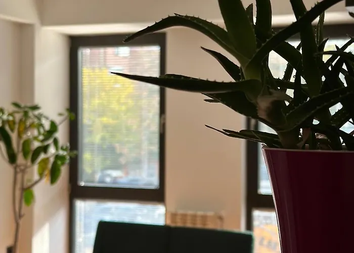 Golden 7 - Center * Skopje